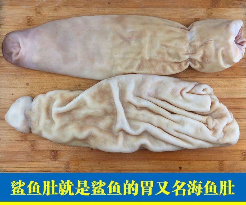 鲨鱼肚海鱼肚鱼肚