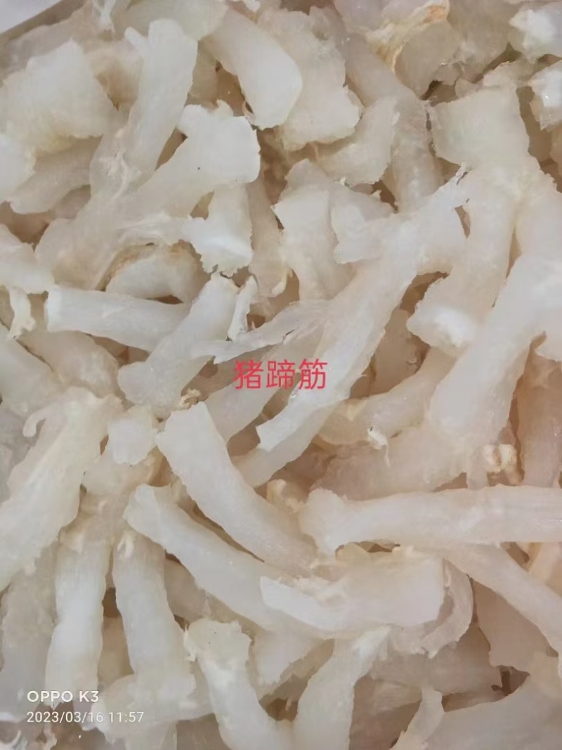 鱼翅金钩翅各种品质