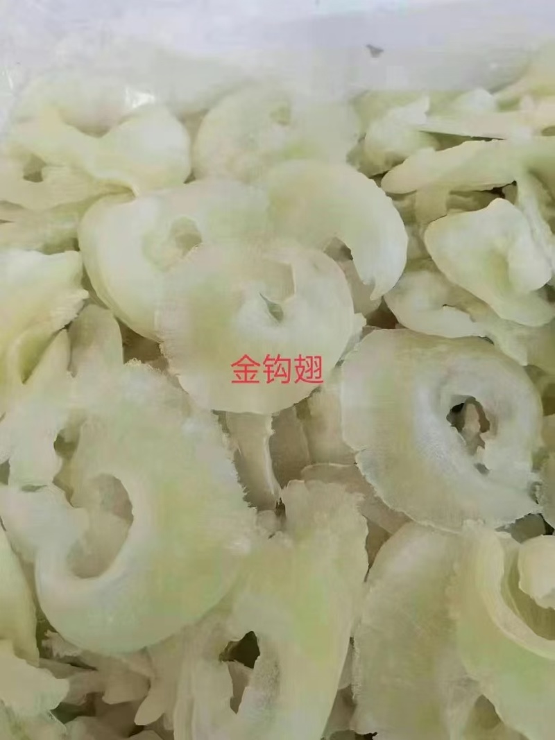 鱼翅金钩翅各种品质