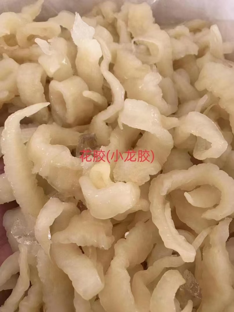 鱼翅金钩翅各种品质