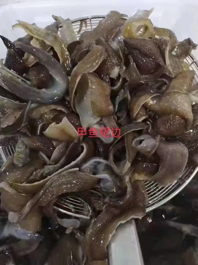 鱼翅金钩翅各种品质