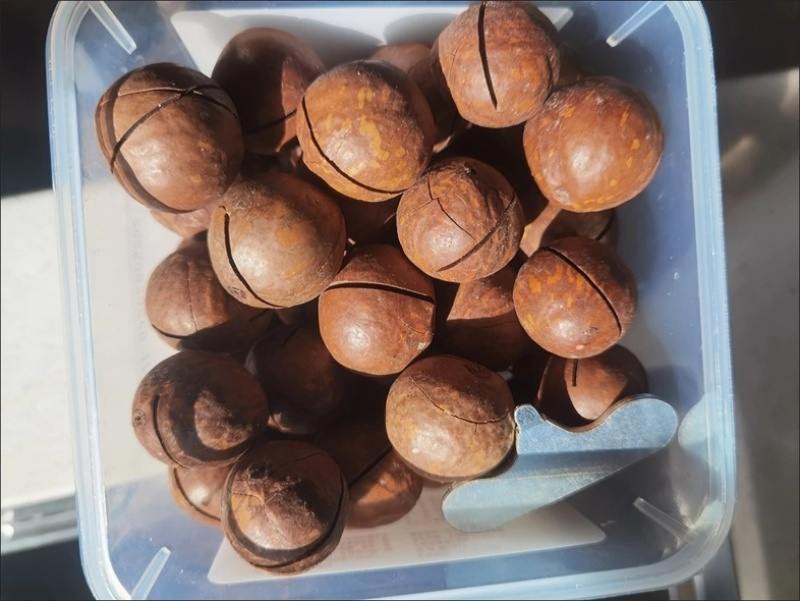 电商夏威夷果接代发批发