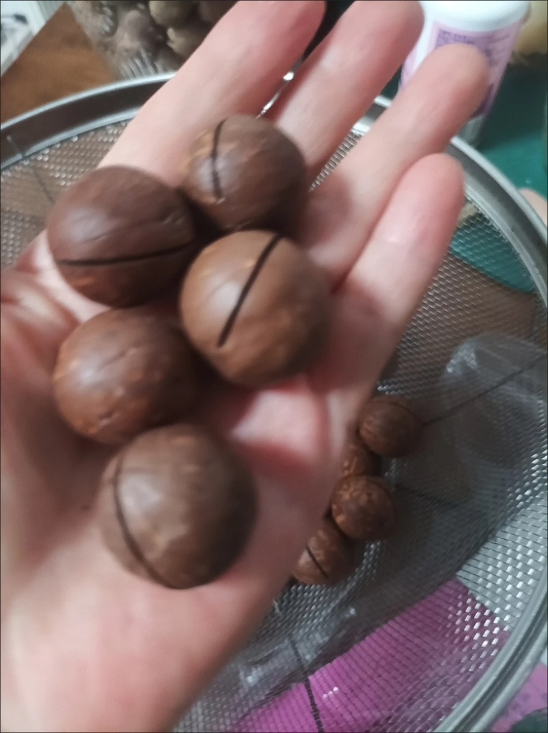电商夏威夷果接代发批发