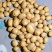 （热卖）陕西黄心土豆新鲜上市价格美丽对接全国市场量大从优