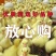 优质鹅苗现货现发，四季鹅，扬州大白鹅三花鹅