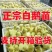 优质鹅苗现货现发，四季鹅，扬州大白鹅三花鹅