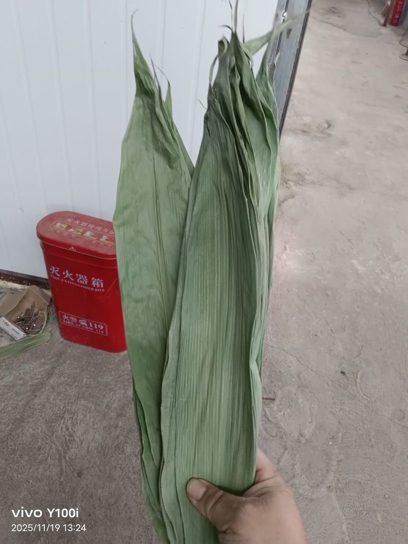 粽叶麻竹叶