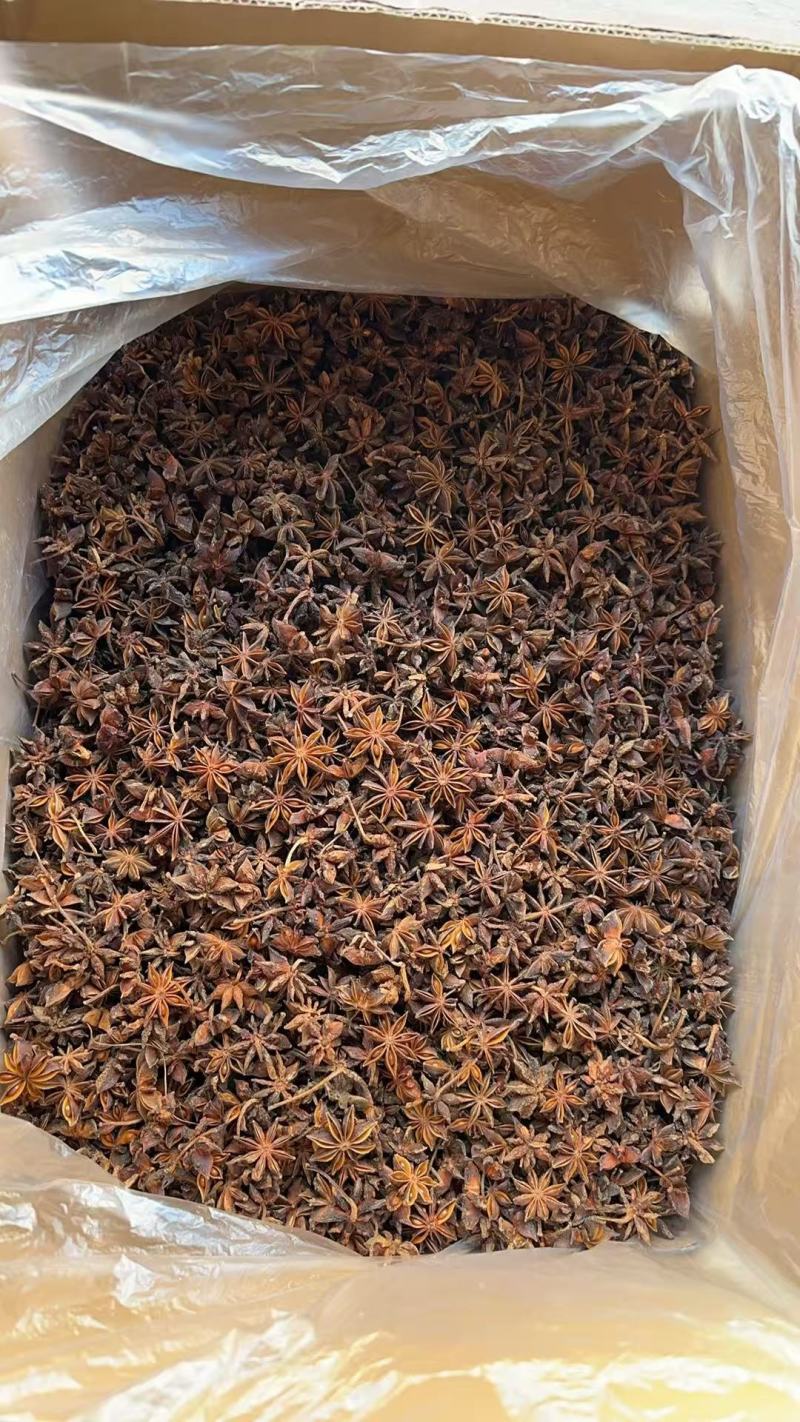 捡漏广西古龙大红八角性价比好，足干无硫，开口好，完整度好
