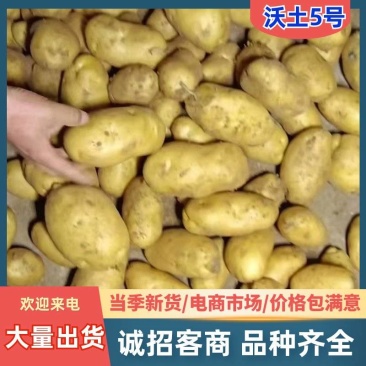 《诚信商家》内蒙古沃土5号基地直发对接全国保质保量一条龙