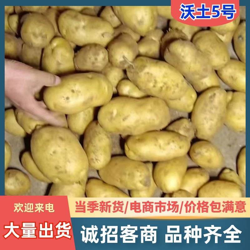 《诚信商家》内蒙古沃土5号基地直发对接全国保质保量一条龙