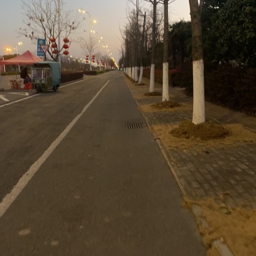 各种规格高品质高质量