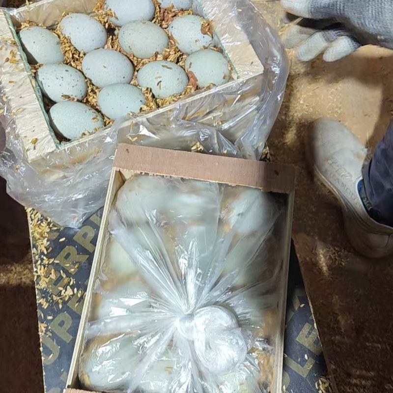 松花蛋预订了，木框泥腌，30年传统工艺，不麻不涩物超所值