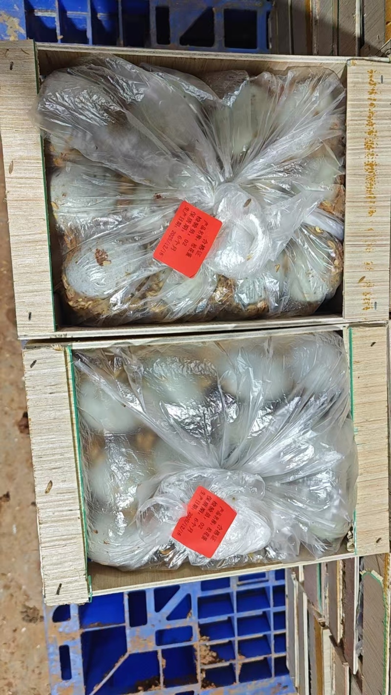 松花蛋预订了，木框泥腌，30年传统工艺，不麻不涩物超所值
