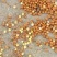 糜子，大量有货，一手货源量大价优，对接全国市场电商平台