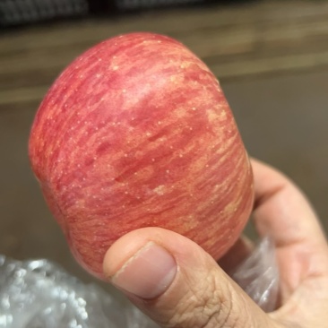 75纸夹膜