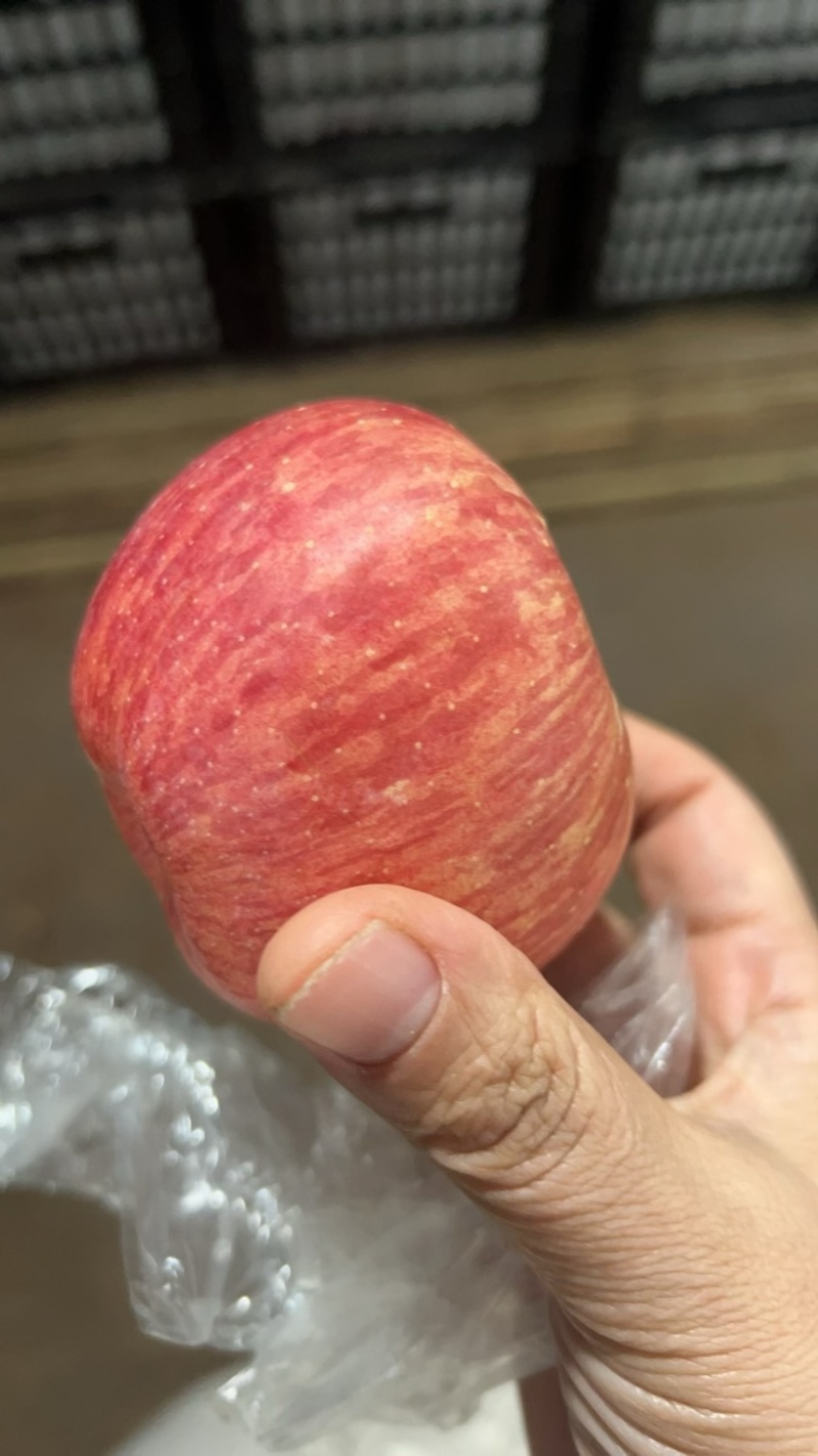 75纸夹膜