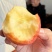 75纸夹膜