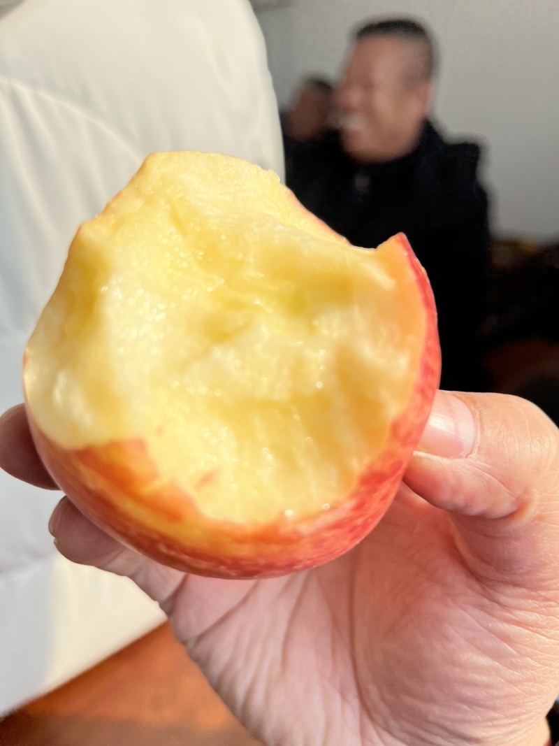 75纸夹膜