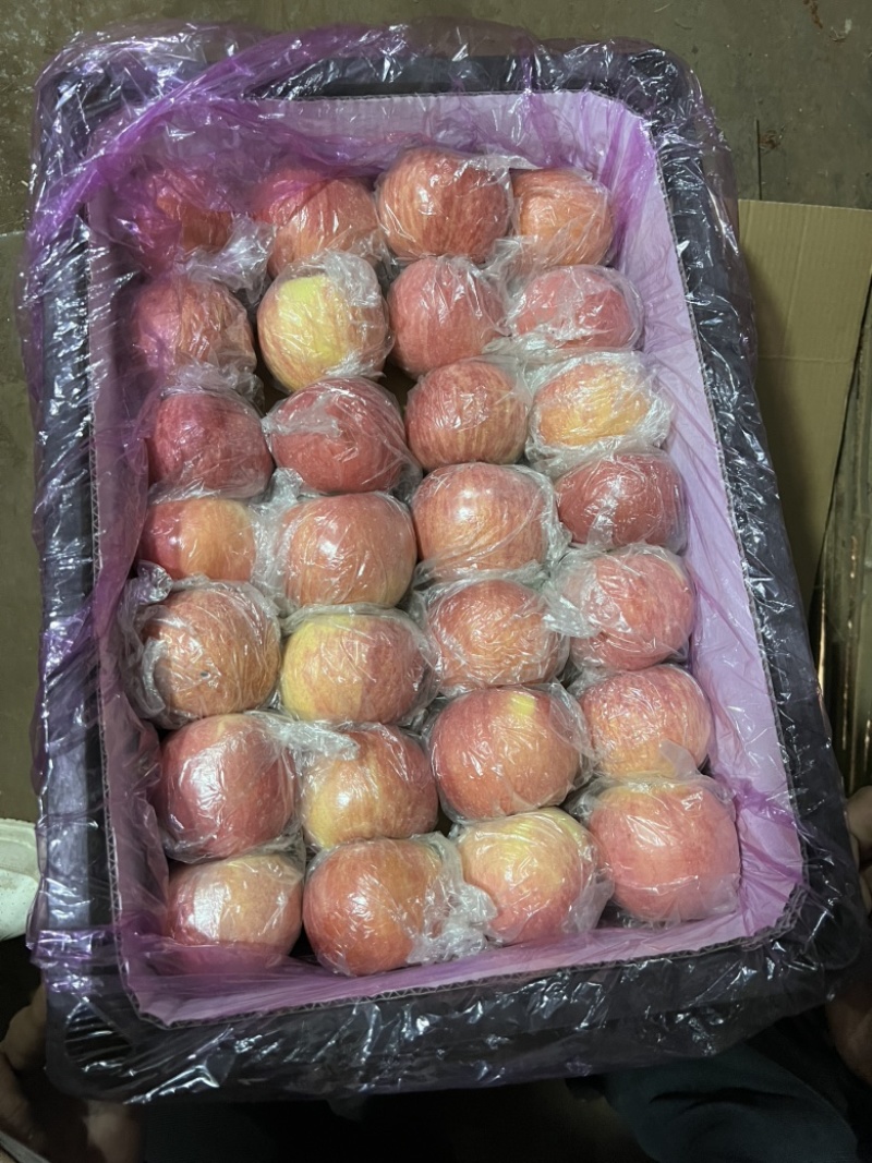 75纸夹膜