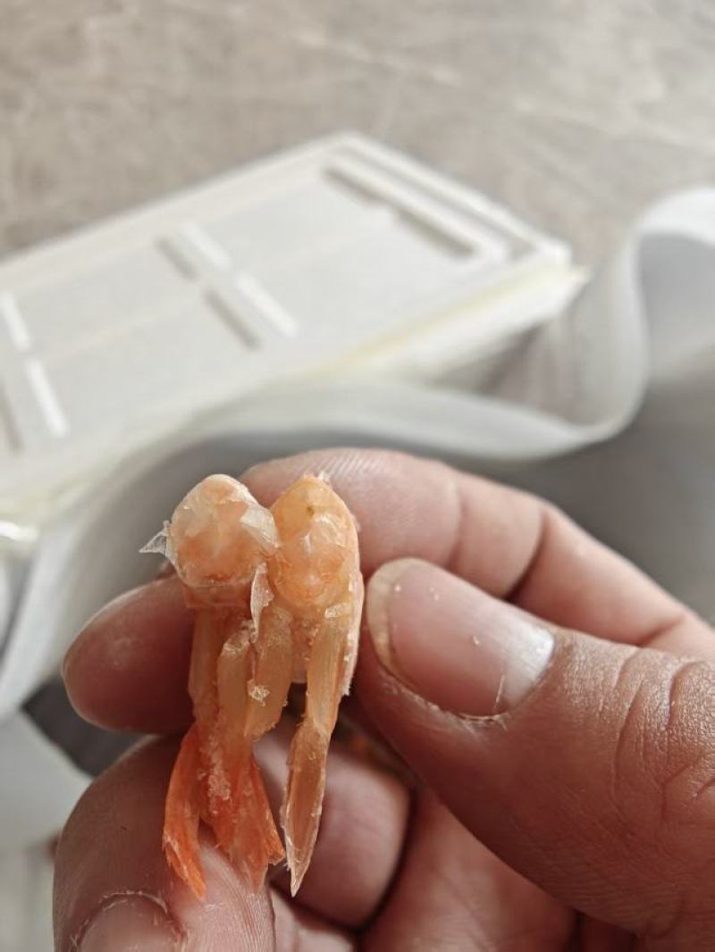 加拿大甜虾大虾历虾熟虾便宜电商团购赶集年货！！！！！！