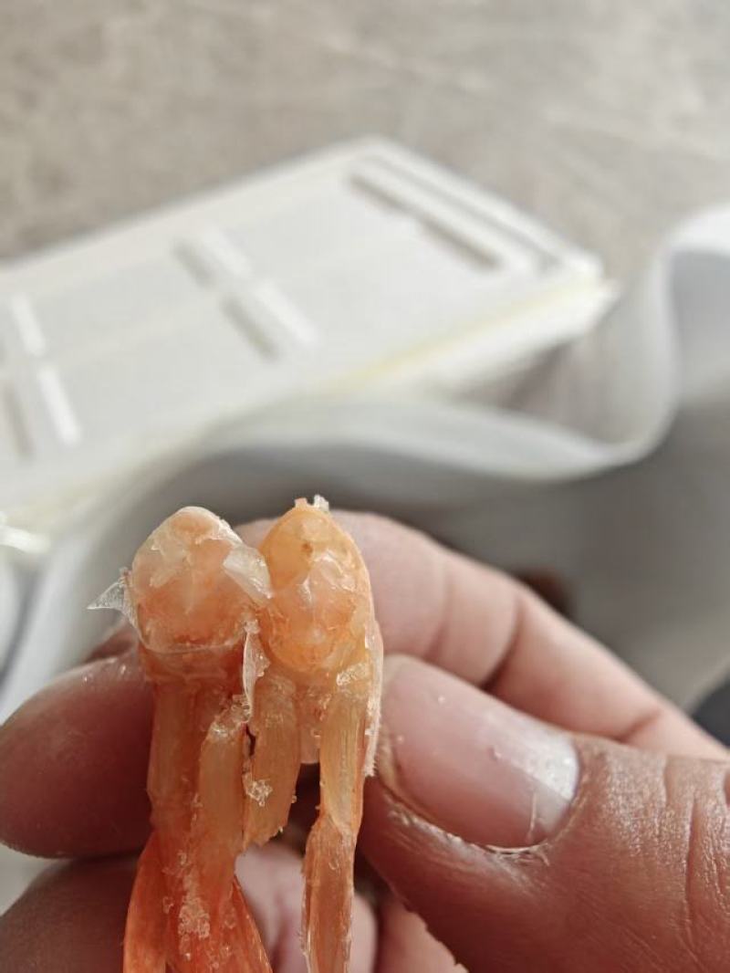 加拿大甜虾大虾历虾熟虾便宜电商团购赶集年货！！！！！！