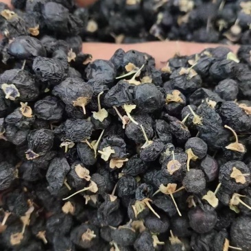 精品黑枸杞规格齐全量大从优质量保证欢迎来电订购