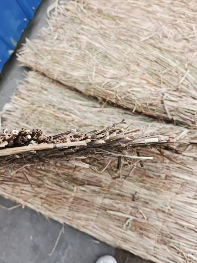 稻草帘子草苫子