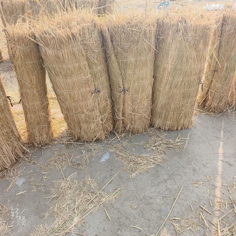 稻草帘子草苫子