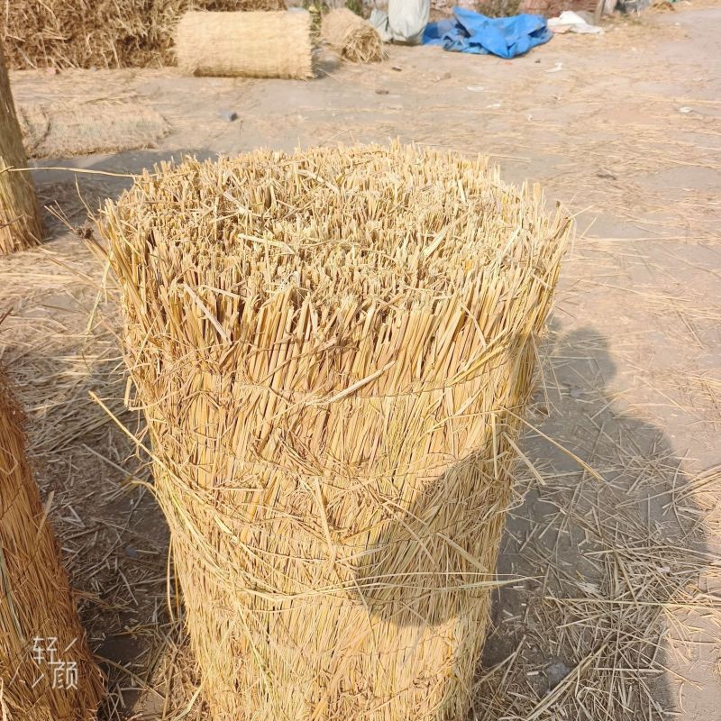 稻草帘子草苫子