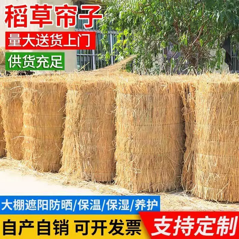 稻草帘子草苫子