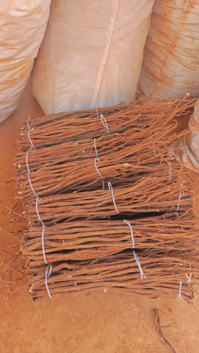 小叶红皮千斤拔干货