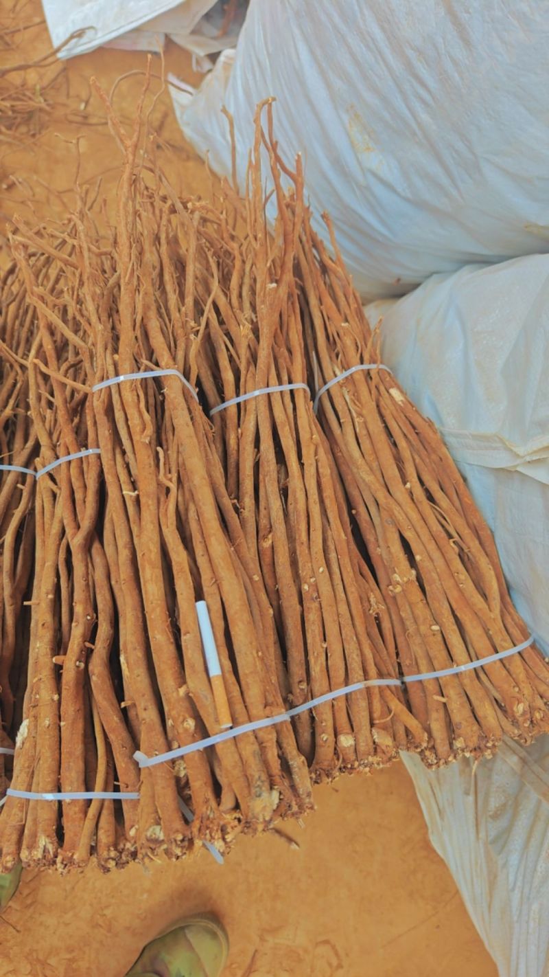 小叶红皮千斤拔干货