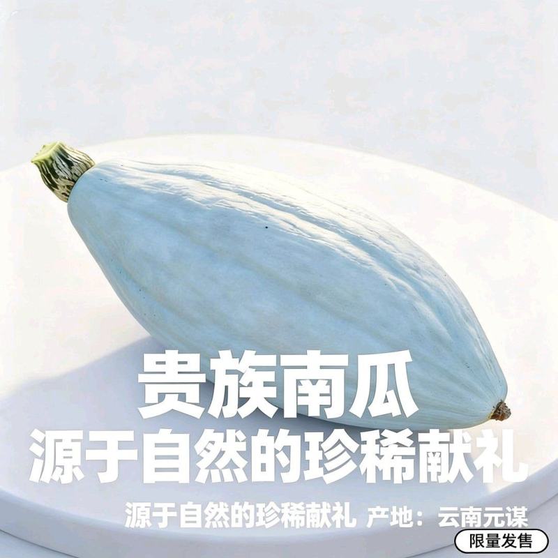 精品贵族南瓜