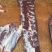 【原切牛里脊】规格50斤原切牛肉牛里脊肉