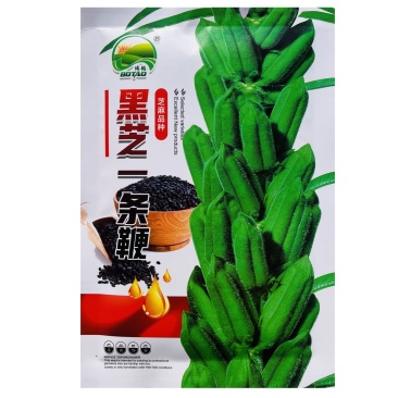 黑芝麻种子纯黑矮脚黑芝麻高产高油可榨油食用早熟大田种