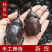 独角仙中药材昆虫类品质保证