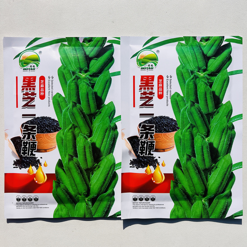 黑芝麻种子纯黑矮脚黑芝麻高产高油可榨油食用早熟大田种