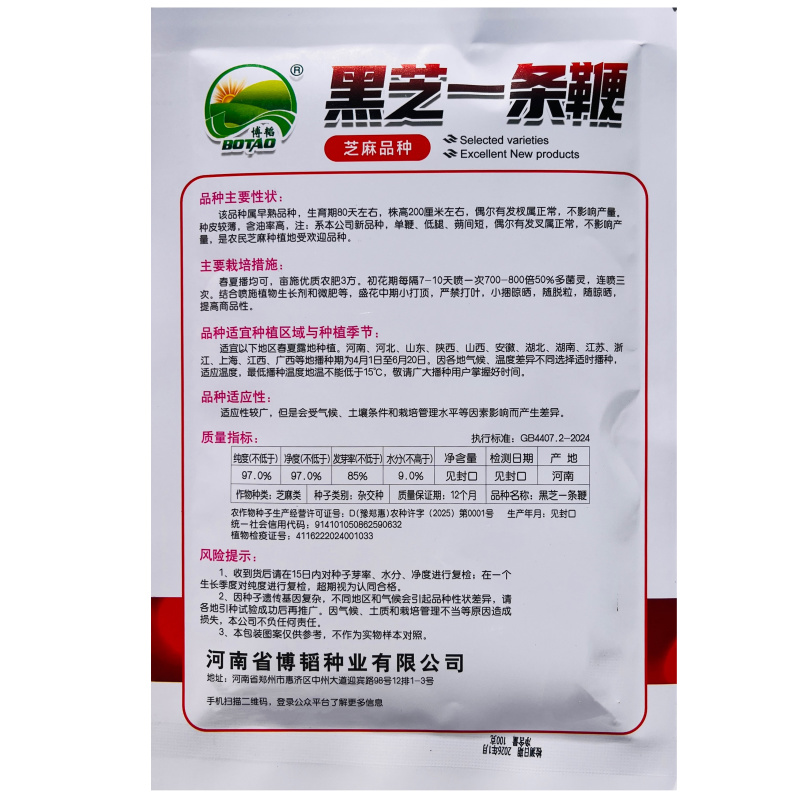 黑芝麻种子纯黑矮脚黑芝麻高产高油可榨油食用早熟大田种