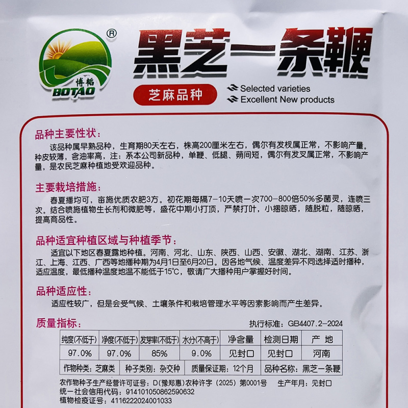 黑芝麻种子纯黑矮脚黑芝麻高产高油可榨油食用早熟大田种