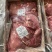 （牛脖肉）批发50斤原切牛肉牛脖肉