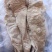 （牛大肠）批发规格40斤半成品牛肠半熟牛大肠
