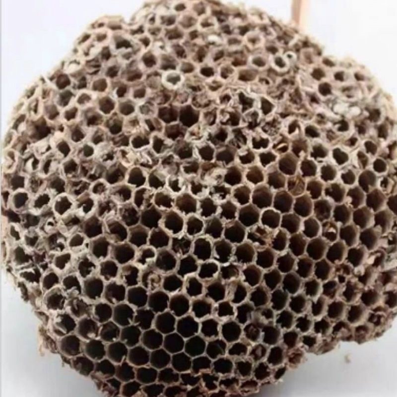 家蜂房中药材土蜂房山蜂房硬蜂房马蜂窝蜂巢黄蜂巢