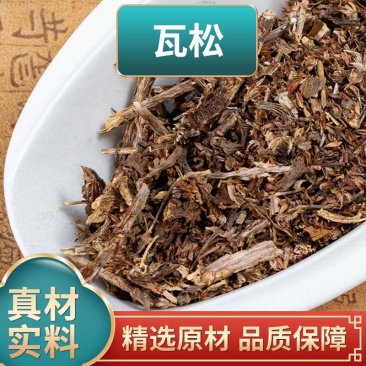 瓦松中药材冷背正品瓦松自然晾晒干净无杂康养斋中药材