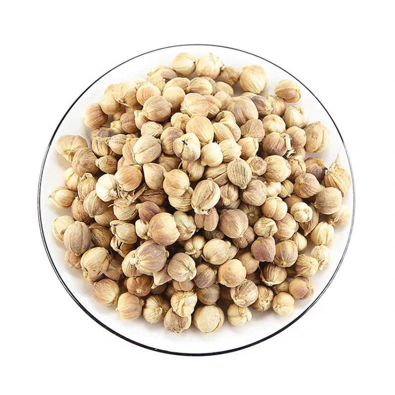 白豆寇白蔻仁白叩白扣白豆蔻白寇