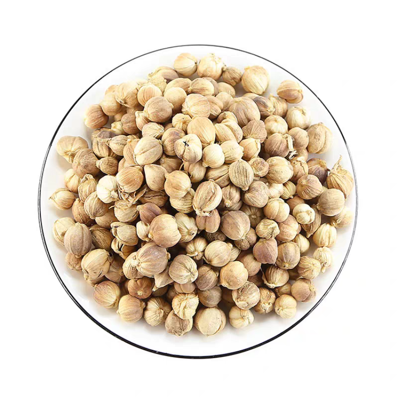 白豆寇白蔻仁白叩白扣白豆蔻白寇
