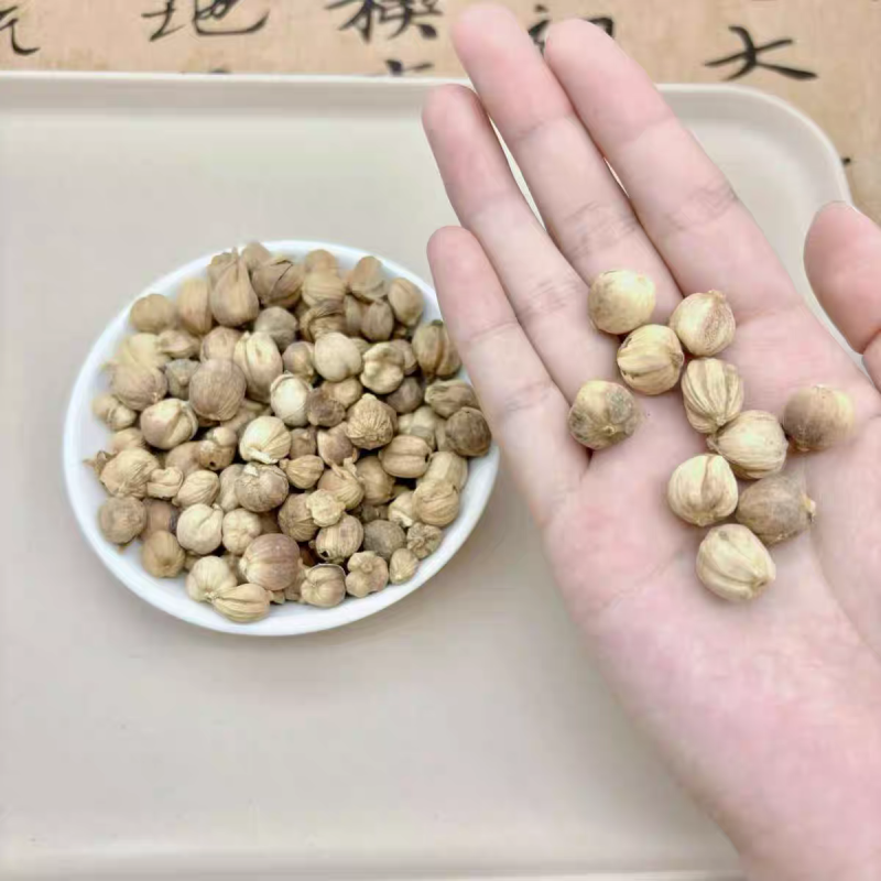 白豆寇白蔻仁白叩白扣白豆蔻白寇