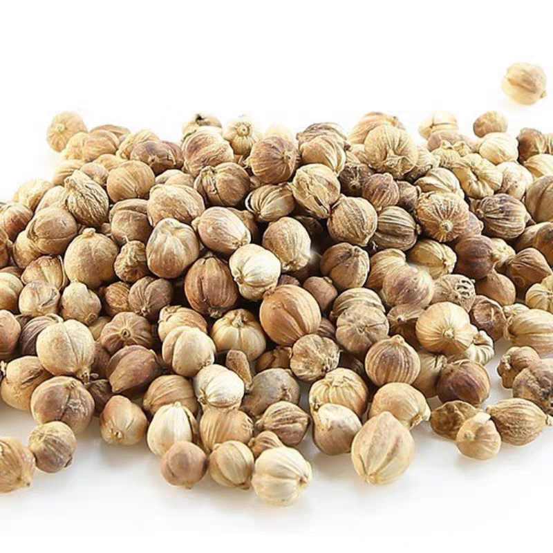 白豆寇白蔻仁白叩白扣白豆蔻白寇