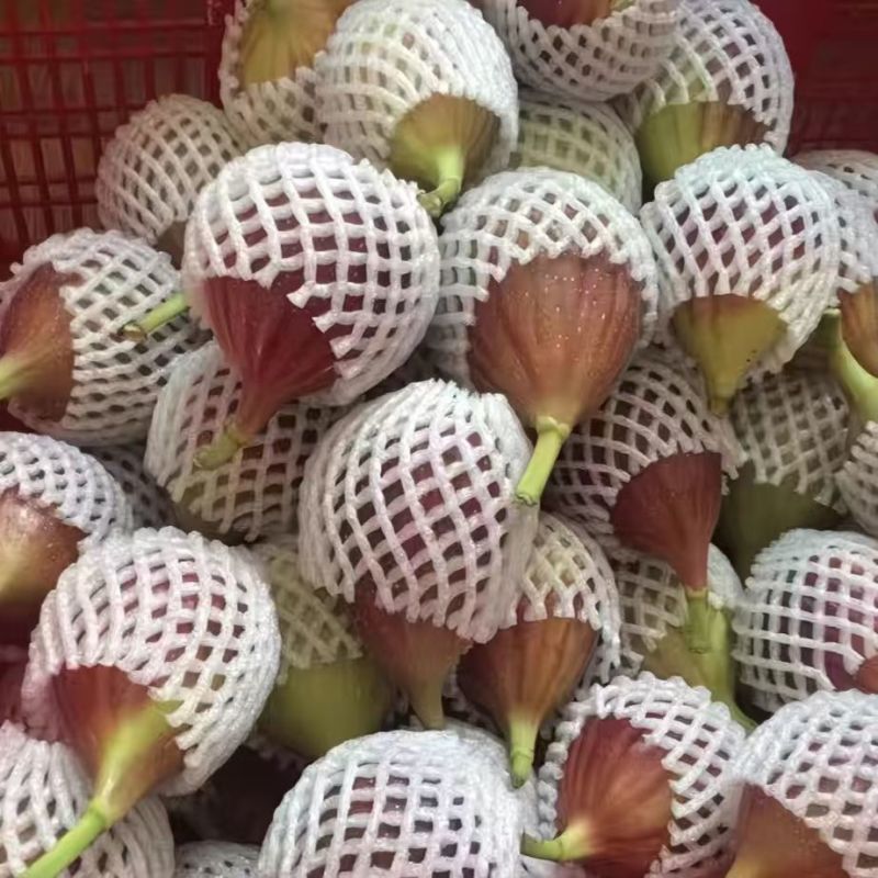波姬红无花果基地空运直发当天到货有需要老板联系