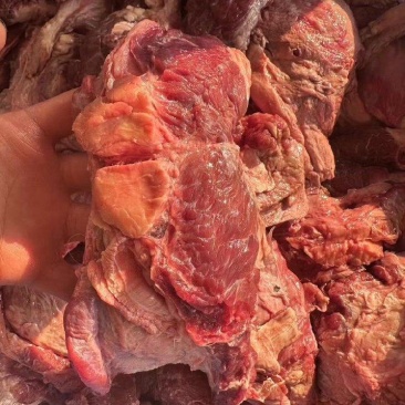 （牛脖根肉）规格50斤冻品大块牛碎肉牛脖根肉