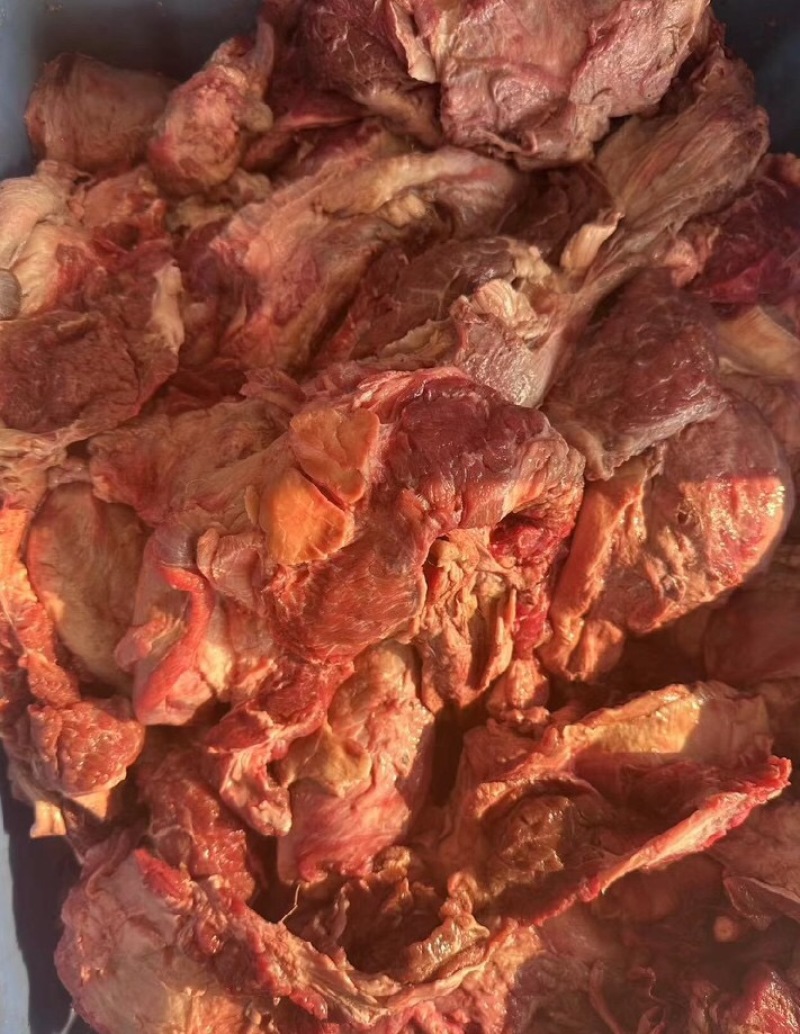 （牛脖根肉）规格50斤冻品大块牛碎肉牛脖根肉